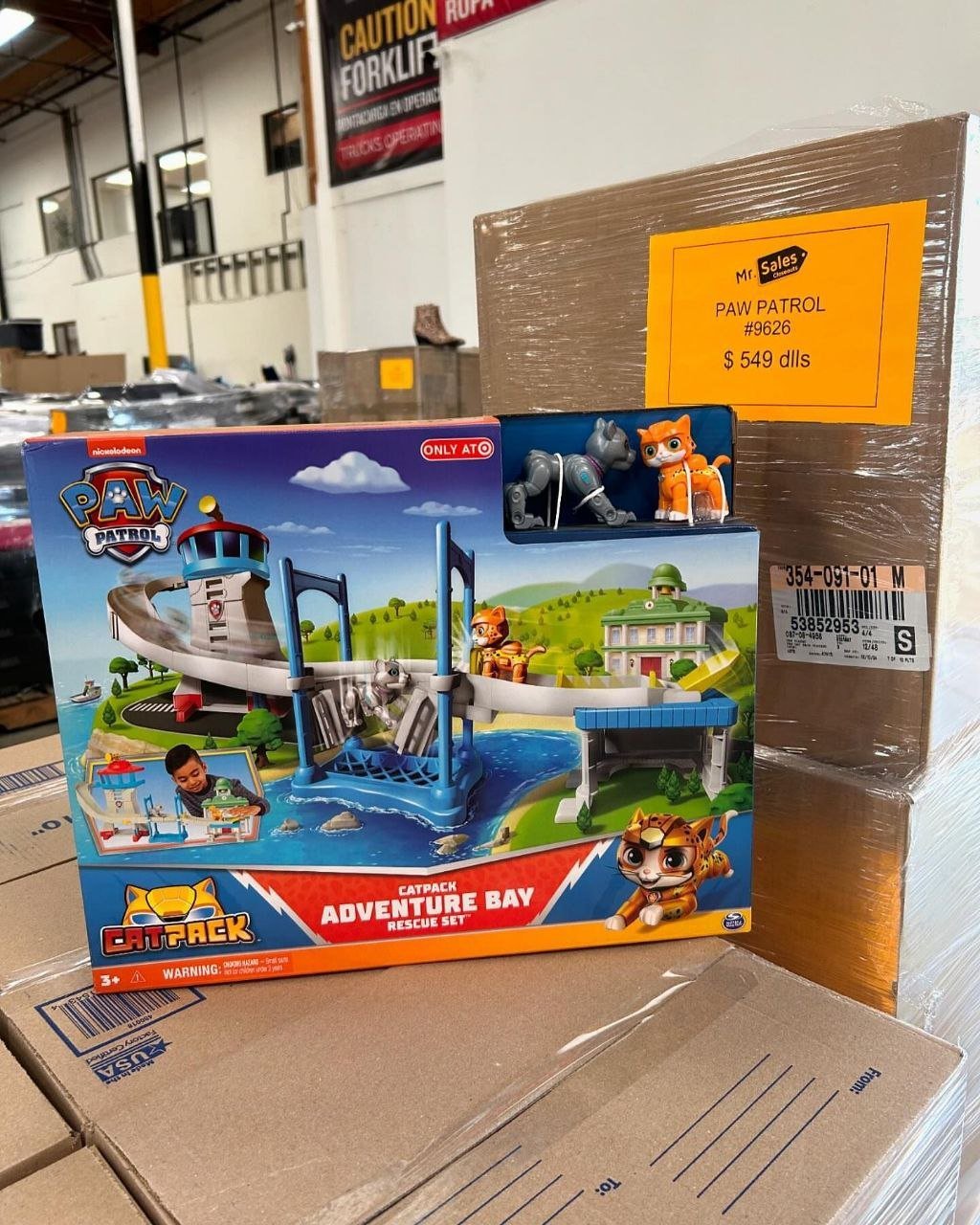 Paw patrol chase toy